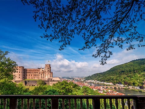 Schloss Heidelberg